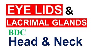 Chp2  Anatomy of EYE LIDS amp LACRIMAL APPARATUS  Head amp Neck Anatomy  BDC Vol3 Chp2 Part2 [upl. by Lassiter848]