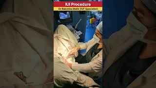 IUI Procedure  intrauterine insemination procedure  by Dr Rakshita Malik ivfcenter iuitreatment [upl. by Seton]