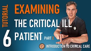 How to Examine the Critically Ill Patient 2 [upl. by Lunsford882]