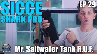 Sicce SHARK PRO 900 Internal Aquarium Filter  Mr Saltwater Tank Raw Uncut amp First Impressions [upl. by Enniroc128]