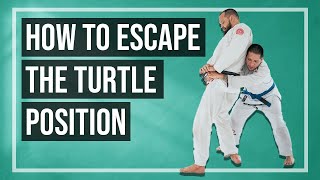 How to Escape the Turtle Position  Jiu Jitsu Techniques [upl. by Shulins]