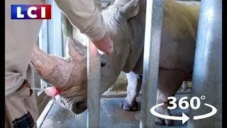 VIDÉO  Dans les coulisses du parc zoologique de Paris [upl. by Azitram961]