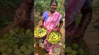 அங்க வாங்கி அங்கேயே குடுக்கிறேன் ✅இயற்கைக்கு நன்றி💚🙏Home garden vlognaturehealthylivingshorts [upl. by Wainwright272]