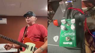 Wampler Euphoria Pedal is phenomenal [upl. by Helena]