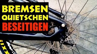 Quietschen der Fahrradbremsen beseitigen  So gehts in 5 Minuten [upl. by Arriek635]