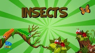 Insects  Educational Videos for Kids [upl. by Suoivatnom]