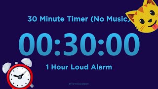 30 minute Timer Countdown No Music  1 Hour Loud Alarm [upl. by Anyad140]