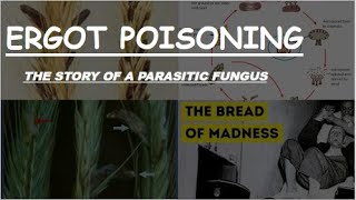 Ergot Poisoning quotThe Bread of Madnessquot Drugs of Plant Origin  toxicology medicine  Novice Medic [upl. by Hametaf770]