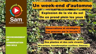 Un weekend plaisir  Observation des sols Lactivité biologique à son maximum [upl. by Bocoj932]