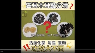 2H木耳雲耳點分清？唔同功效你要識 [upl. by Hengel130]