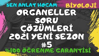 ORGANELLER SORU ÇÖZÜMLERİ  5   kesin anlayacaksın anlamazsan abone olma  2021✅ [upl. by Yarw]