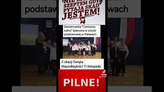 Puławy polska dlaciebie 60 viralshort dc shorts [upl. by Leontina]