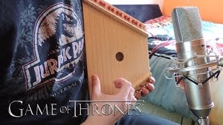 Game Of Thrones Theme Cover All Instruments [upl. by Nauqal]