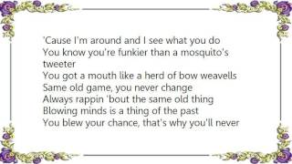 Ike Tina Turner  Funkier Than a Mosquitos Tweeter Lyrics [upl. by Hefter]