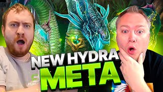 NEW HYDRA DPS META Raid Shadow Legends [upl. by Hernando247]