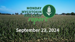 Monday Mycotoxin and Crop Report for September 23 2024 [upl. by Caresse]