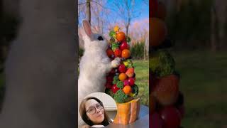 Bunny has fruits and veggies Christmas tree ❤️ bunny cute cuterabbiteating shortsviral shorts [upl. by Ynneh]