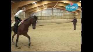 Equestrian Vaulting  What is Equestrian vaulting [upl. by Adnyc442]