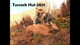 Tussock Hut 2021 Pt 2 The Hunt [upl. by Devan711]