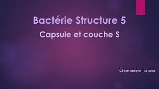 Bactérie Structure 5 CAPSULE et COUCHE S bactériennes sans musique de fond [upl. by Thora]