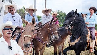 Cabalgata CON MULAS en OCONAHUA JALISCO [upl. by Attirehs]