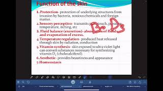 Skin Assessment  تمريض قادسية 2 [upl. by Lilyan]