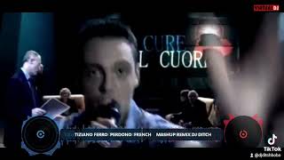 TIZIANO FERRO PERDONO FRENCH REMIX [upl. by Ahsenom456]