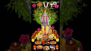 Tulsi Mata photos  devotional song  viral  short  please like and subscribe🙏🙏🙏🙏 [upl. by Eetsirk]