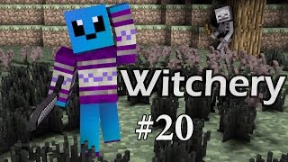 Minecraft Witchery 20  Яйцо дракона [upl. by Nylevol780]