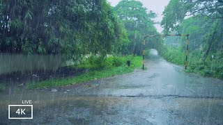 Sleep with in Minutes  Rain and Thunder Sounds for Sleeping Cozy  ASMR Rain Walks Compilation [upl. by Crowns]