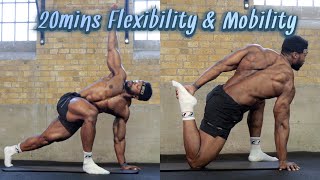 20mins Full Body Flexibility amp Mobility Routine  FOLLOW ALONG [upl. by Epifano372]