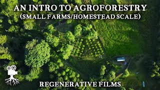 The Incredible Benefits of Agroforestry on Small Farms  Introduction to Agroforestry [upl. by Netsew]