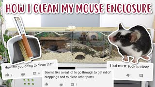 HOW I CLEAN MY LARGE MOUSE ENCLOSURE [upl. by Vander]