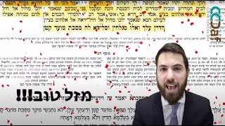 Moed Katan 29 210  SIYUM  Daf Yomi Clear amp Concise [upl. by Naleag]