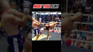 Muay Thai feint and side kick 🐉 muaythai mma fighter karate [upl. by Lashoh]