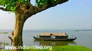 Backwaters of Kumarakom  Vembanad Lake amp Houseboat Videos of Kerala [upl. by Itnavart]