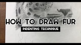 How to Draw Fur  Indenting Technique Drawing Tutorial Indenting [upl. by Anirahc]