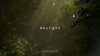 david kushner  daylight slowed  reverb [upl. by Tilla74]