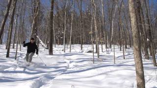 XCD Telemark Backcountry Skiing Secret Slopes Kingsmere Gatineau Park スキー Madshus Panorama M78 [upl. by Prosperus999]