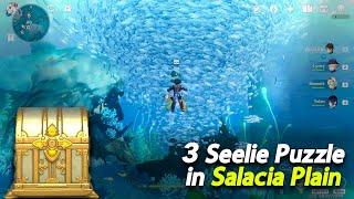 3 Seelie Puzzle in Salacia Plain for Luxurious Chest  Fontaine [upl. by Cloutman]