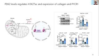 Sara Zanivan quotCAF metabolism shapes the tumour microenvironment roles in collagen productionquot [upl. by Kanter]