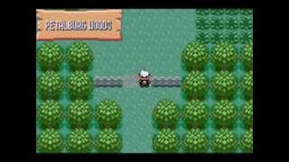 Pokémon Emerald Walkthrough Part 3 Through the Petalburg Woods [upl. by Seem]