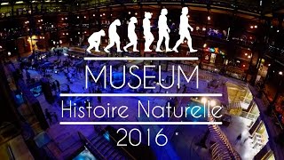 Muséum dHistoire Naturelle  Paris [upl. by Bortman]