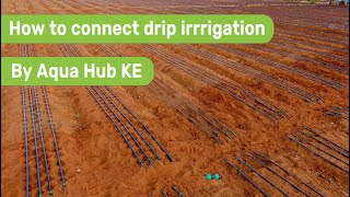 How to connect drip irrigation system step by step [upl. by Aenit]