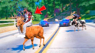 Los Campesinos Van a por mi Por Saquear su Venado Gta 5 roleplay [upl. by Letsirk170]