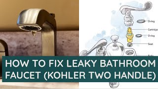 How To Fix Leaky Bathroom Faucet Kohler Two Handle [upl. by Avek]