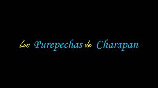 Los Purepechas de Charapan  Yunuencita  Pirekua [upl. by Irneh]