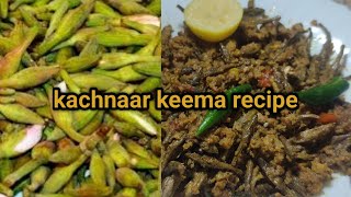 Kachnar keema recipe by SanaTanzeel [upl. by Marlena]