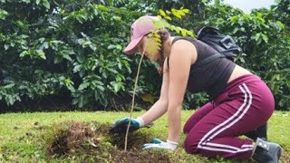 Reforestación Sabanilla de Alajuela [upl. by Enehpets]