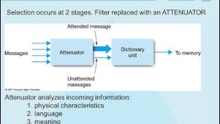 Theories of Attention [upl. by Dodds]